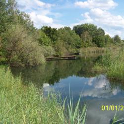 Ponton réservoir des Cigognes AAPPMA Seltz