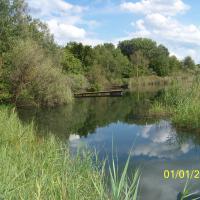 Ponton réservoir des Cigognes AAPPMA Seltz