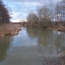 Le Kleinrhein après les travaux de restauration AAPPMA Seltz