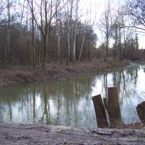 Le Kleinrhein après les travaux de restauration AAPPMA Seltz