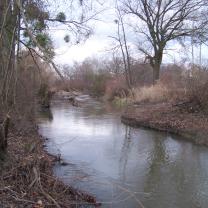 Le Kleinrhein après les travaux de restauration AAPPMA Seltz
